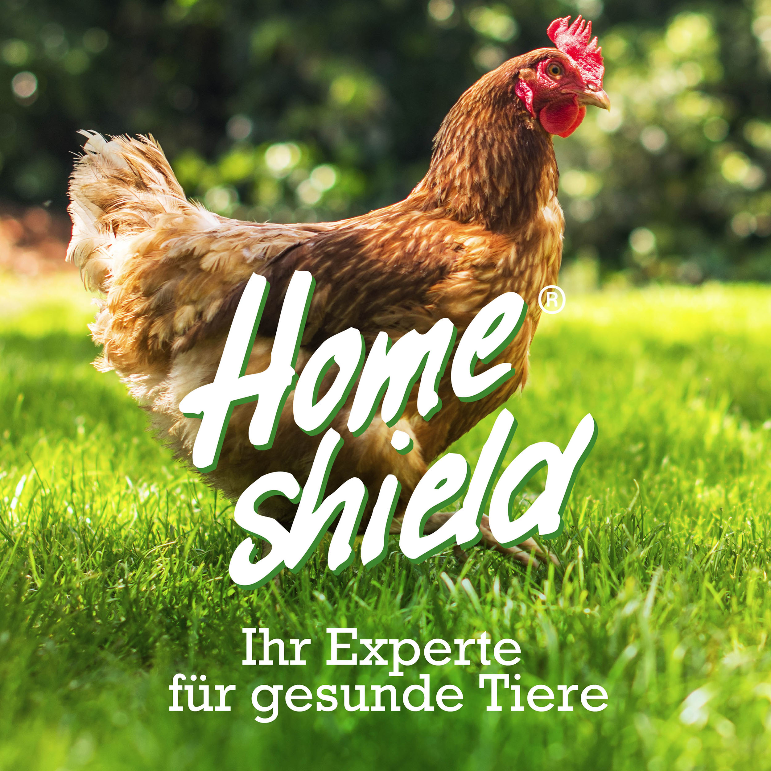 Home-Shield - Professioneller Schutz gegen die Rote Vogelmilbe in der Geflügelhaltung