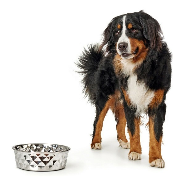 Futternapf für Hunde Hunter Namy Silberfarben Edelstahl (2,8 L) (20,4 x 24,3 x 7,3 cm)