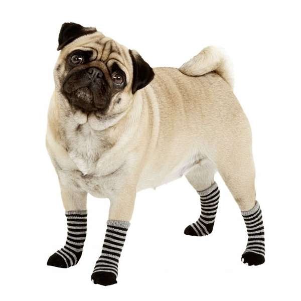 Karlie Doggy Socks Hundesocken 4er Set - Schwarz/Grau - M