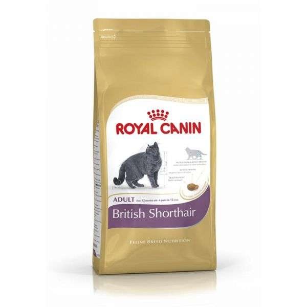 Royal Canin British Shorthair - 10 kg