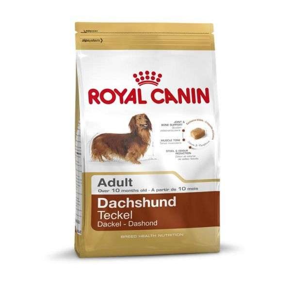 Royal Canin Dachshund Adult 500g - 500 g