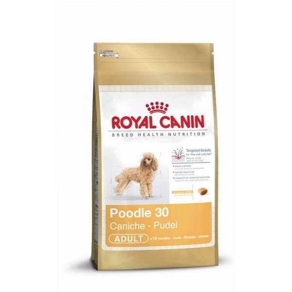 Royal Canin Pudel Adult - 500 g